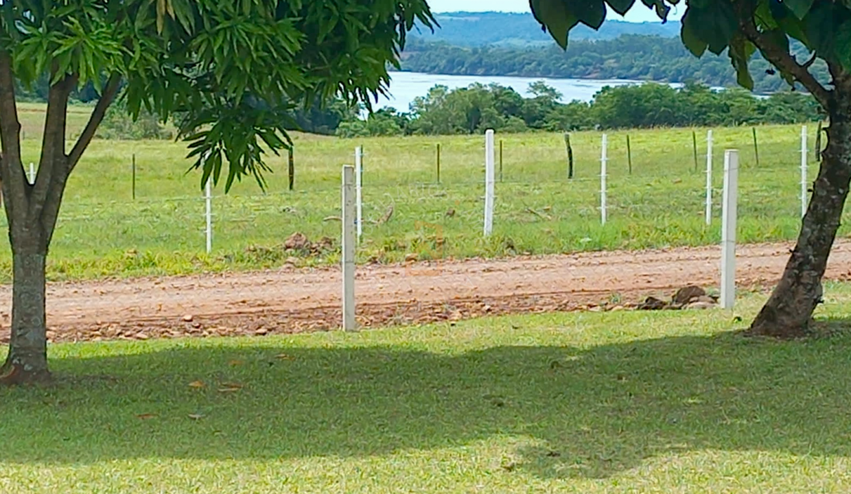 imagem-17