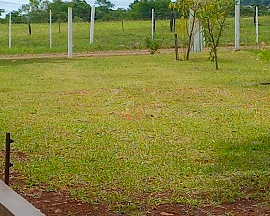 imagem-2